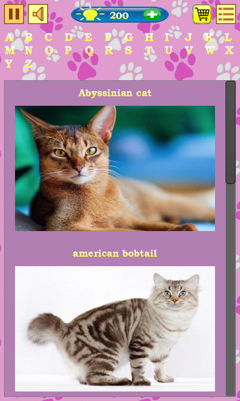 Cats Quiz screenshot
