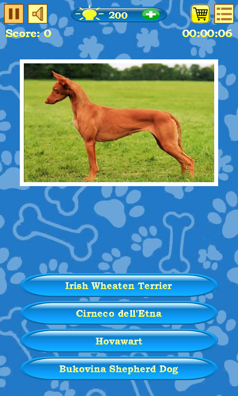 Dogs Quiz — cover