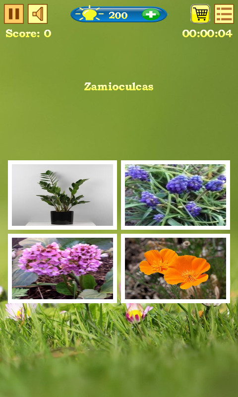 Flowers Quiz screenshot